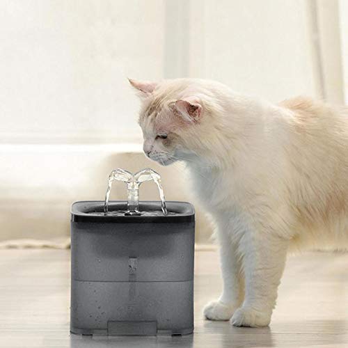 Rayber Elemento de filtro para dispensador de agua para mascotas, calentador automático de agua para bebidas, con temperatura constante para gatos y perros