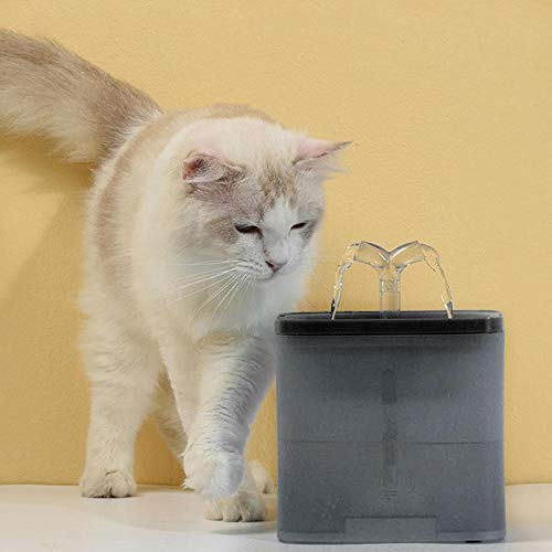 Rayber Elemento de filtro para dispensador de agua para mascotas, calentador automático de agua para bebidas, con temperatura constante para gatos y perros