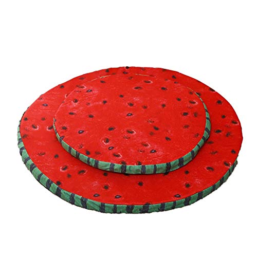 Rcsinway Fresca Creativa Verano simulación de la Fruta Gato Lavables Arena for Gatos en frío Si XI Almohadilla de Esponja melón, adecuados for los Gatos, Perros y Animales pequeños (Color : Medium)