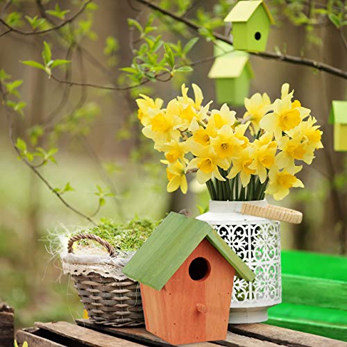 Relaxdays Casita para pájaros, Comedero Colgante de Aves, Adorno de jardín, Madera, 1 Ud, 16x15x8 cm, Verde