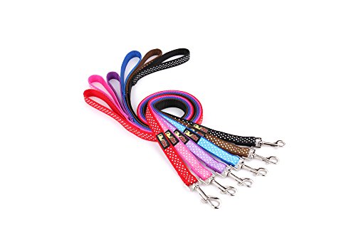RichPaw - Collar de perro con correa a juego para cachorros y perros, diseño de lunares, color azul