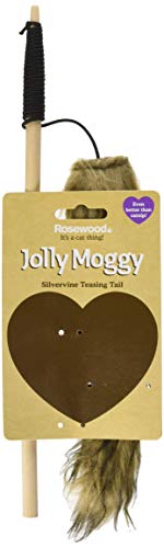 Rosewood silvervineteasing cola Cat Toy