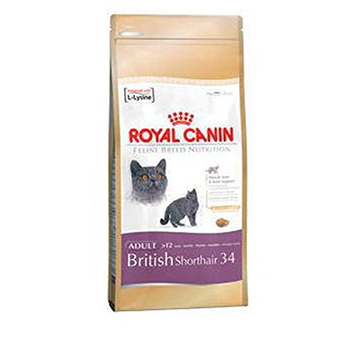 Royal Canin British Shortair Gato 10 kg