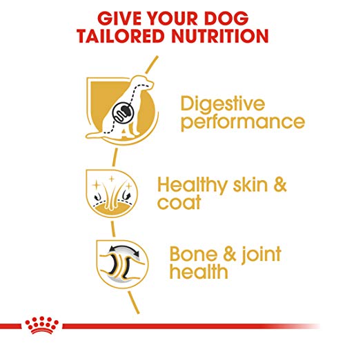 Royal Canin C-08925 S.N. Pastor German Shepherd 24 - 12 Kg