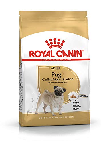 Royal Canin C-08949 S.N. Carlino Pug - 1.5 Kg