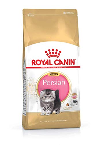 Royal Canin C-58428 Gatito Persian - 10 Kg