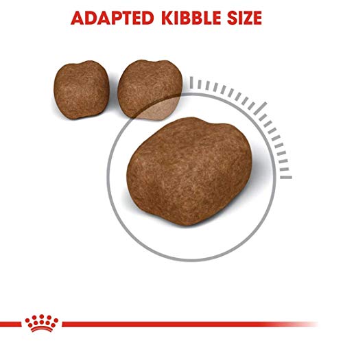Royal Canin C-584398 Oral Care - 8 Kg