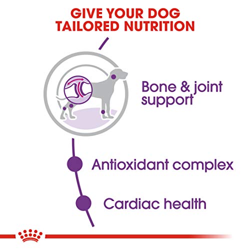ROYAL CANIN Giant Adult 4kg