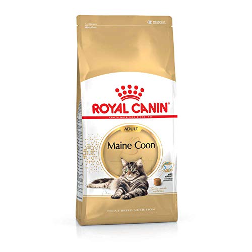 ROYAL CANIN Maine Coon 31 Secco Gatto Gr. 400 - Mangimi Secchi Per Gatti