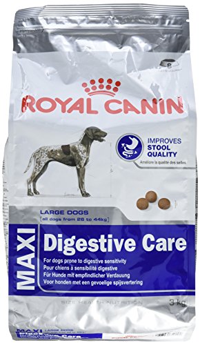 Royal Canin Maxi Cuidado Digestivo, 1 x 3 kg