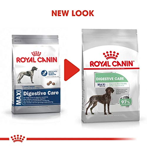 ROYAL CANIN Maxi Digestive Care 10kg