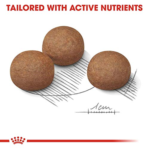 ROYAL CANIN Maxi Digestive Care 10kg