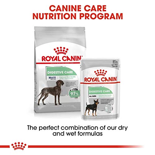 ROYAL CANIN Maxi Digestive Care 10kg