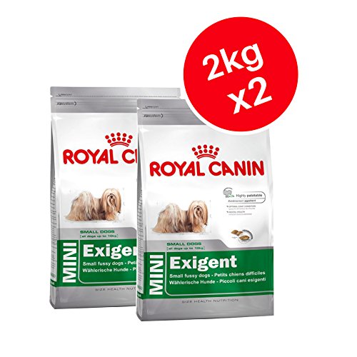Royal Canin Mini Exigente, Adulto Seco Perro Alimento 2 kg (Pack de 2)