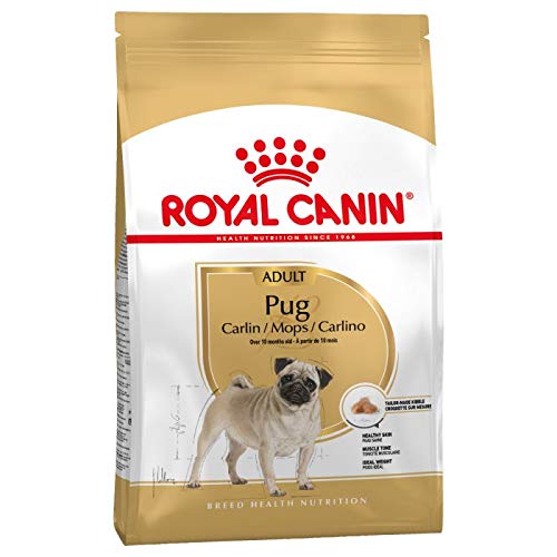 Royal Canin Pug Adulto Seco Perro Alimento 3 kg (Pack de 3)
