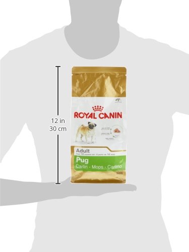Royal Canin Pug Comida para Perros Adultos, 1 Libra