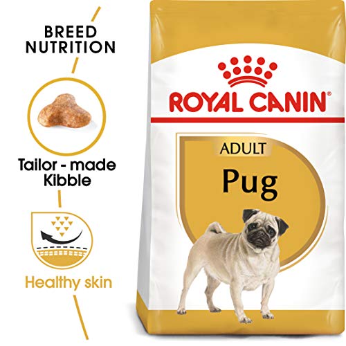 Royal Canin Pug Comida para Perros Adultos, 1 Libra