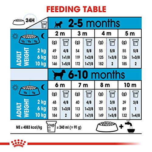 Royal Canin Puppy Mini, 800 gr
