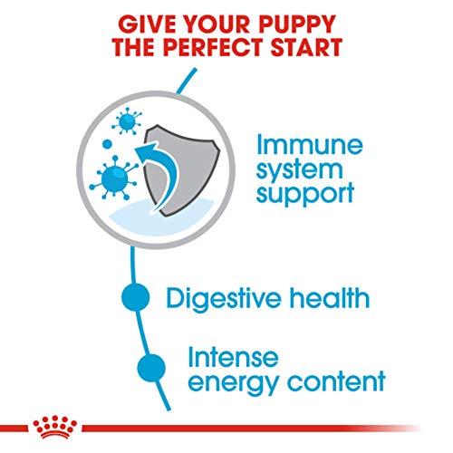 Royal Canin Puppy Mini, 800 gr