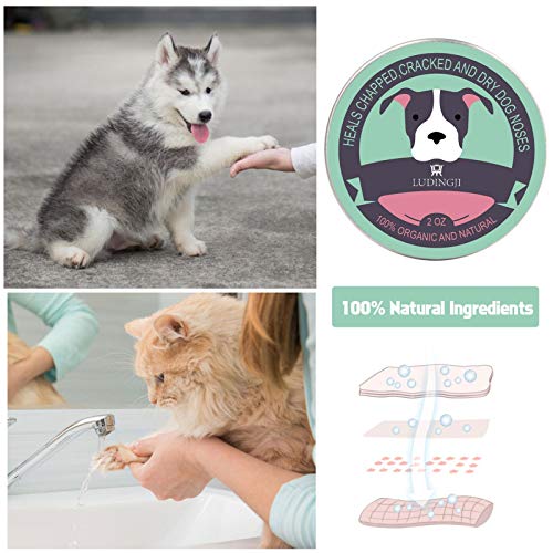 Rubyu-123 Bálsamo para Mascotas, 100 Natural Regenerador, Bálsamo Perros, Nariz y Piel de Perros y Gatos, Protege y Repara Piel Seca y Agrietada, 60g