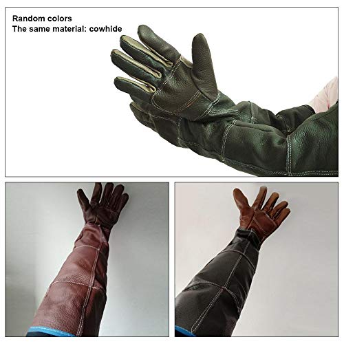 Rubyu – Guantes de protección de Piel de Vacuno antimordeduras para Hombre y Mujer