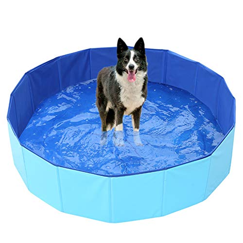 Ruick Piscina plegable para perros – Piscina para mascotas, piscina para perros plegable para niños, piscina portátil de PVC para mascotas (24 x 8 pulgadas, azul)