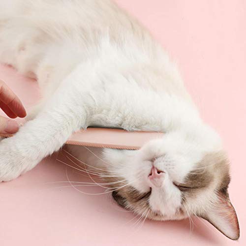 SALUTUYA Cepillo de Lengua para Mascotas Textura de Lengua de Gato Gris y Rosa Hacer Que el Gato se relaje(Morandi Powder)
