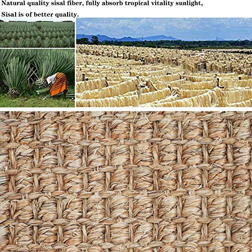 SCAHUN Felpudo Estera De Sisal Natural,Borde Bicolor con Respaldo Antideslizante No Tejido Resistente Al Desgaste Rascador De Gato Multifuncional,Blue-50x80cm