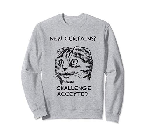 Scottish Fold Cita de gato divertido arte dibujado a mano Sudadera