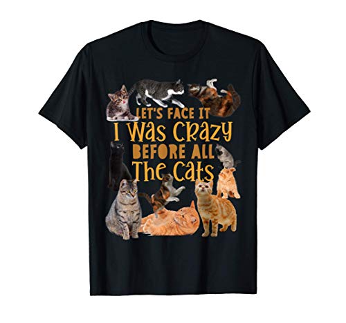 Seamos realistas estaba loco antes de los gatos, divertido Camiseta