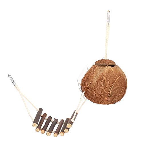 Semiter Bird Coconut House, Coconut Coconut Shell House, para Aves Mascotas