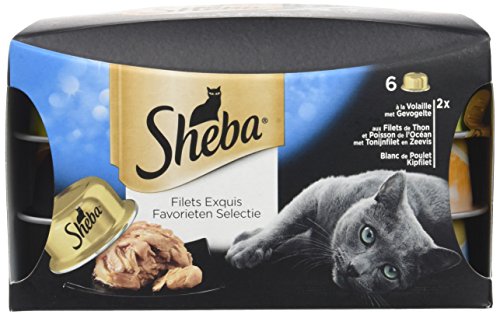 Sheba Dômes pour Chat Adulte – Filets exquis – Friandise aux filets en Sauce – Barquettes Snack 30 x 80g