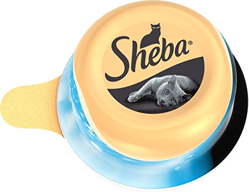 Sheba Dômes pour Chat Adulte – Friandise aux filets de Thon et Poisson de l'océan en Sauce – Barquettes Snack 24 x 80g