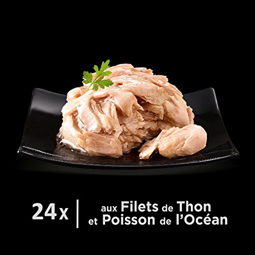 Sheba Dômes pour Chat Adulte – Friandise aux filets de Thon et Poisson de l'océan en Sauce – Barquettes Snack 24 x 80g