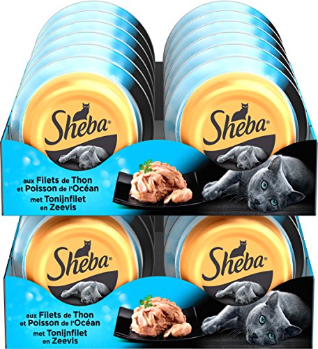 Sheba Dômes pour Chat Adulte – Friandise aux filets de Thon et Poisson de l'océan en Sauce – Barquettes Snack 24 x 80g