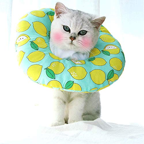shengxi Collar de Recuperación para Mascotas, Collar Protector para Mascotas, Adecuado para Heridas Anti-Mordidas, Collares de Cicatrización de Heridas Después de La Cirugía (M, Patrón De Limón)