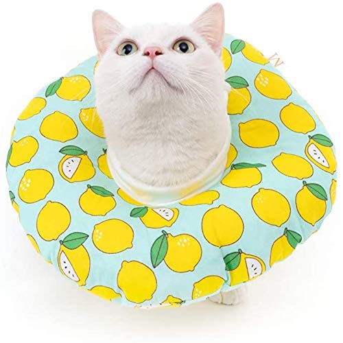 shengxi Collar de Recuperación para Mascotas, Collar Protector para Mascotas, Adecuado para Heridas Anti-Mordidas, Collares de Cicatrización de Heridas Después de La Cirugía (M, Patrón De Limón)