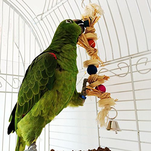 Shouhengda Masticar Juguete, Cotorra de Juguete de pájaro Natural Masticar Juguete Natural Loro pájaro muerde Bola de Swing, Juguetes agresivos Chew, Regalo Interactivo de Juguetes para