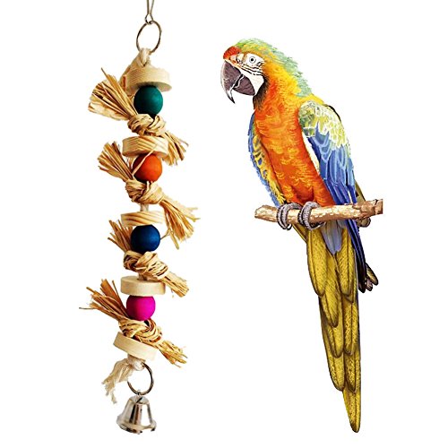 Shouhengda Masticar Juguete, Cotorra de Juguete de pájaro Natural Masticar Juguete Natural Loro pájaro muerde Bola de Swing, Juguetes agresivos Chew, Regalo Interactivo de Juguetes para