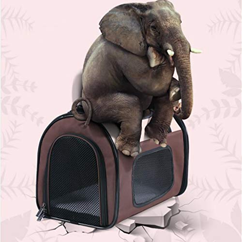Slow Time Shop Transportín para Perros y Gatos de Cara Suave transportador de Viaje, fácil de Transportar para Perros y Gatos, Apto para Perros pequeños y Gatos