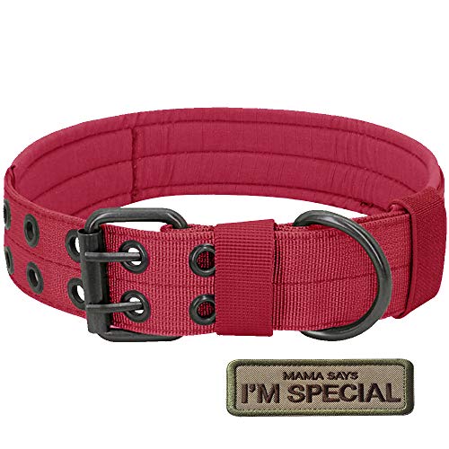 S.Lux Collares de Perro de Nylon, Anti-Desgaste Entrenamiento táctico al Aire Libre Cinturones de Perro de led Collar de Perros Grandes Negro Verde Marrón Collar para tu Perro (Rojo, L)