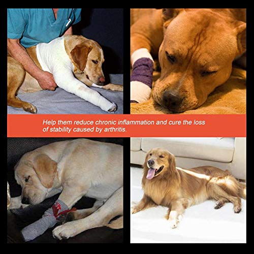 Smandy Almohadillas para la Rodilla del Perro, 1 par de Patas Delanteras del Perro Brace Rodillas Mascota Lesión quirúrgica Vendaje Wrap Heal Protector de heridas(Negro, l)