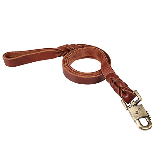 Smandy Correa de Perro de Cuero, 1pc Collar y Correa de Perro de Cuero Suave en la Cadena Trenzada del Animal doméstico de la Ventaja del Ancho del Entrenamiento del Perro 2.5cm(2.5 x 120cm)