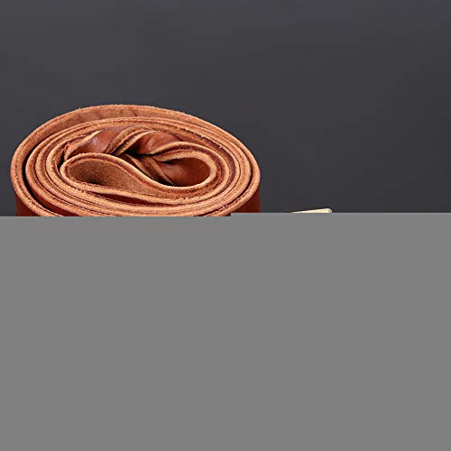Smandy Correa de Perro de Cuero, 1pc Collar y Correa de Perro de Cuero Suave en la Cadena Trenzada del Animal doméstico de la Ventaja del Ancho del Entrenamiento del Perro 2.5cm(2.5 x 120cm)