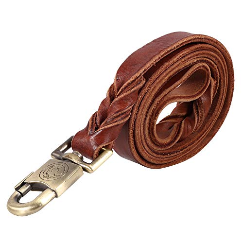 Smandy Correa de Perro de Cuero, 1pc Collar y Correa de Perro de Cuero Suave en la Cadena Trenzada del Animal doméstico de la Ventaja del Ancho del Entrenamiento del Perro 2.5cm(2.5 x 120cm)