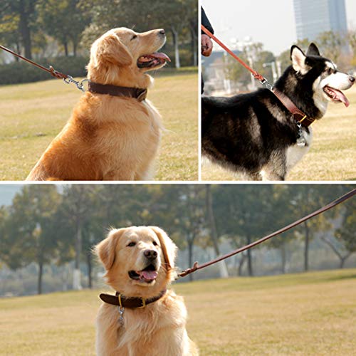 Smandy Correa de Perro de Cuero, Correa de Cuero de la Cuerda de Seguridad de la Correa del Plomo del Perro del Animal doméstico para Caminar el Entrenamiento Corriente(2.1m)