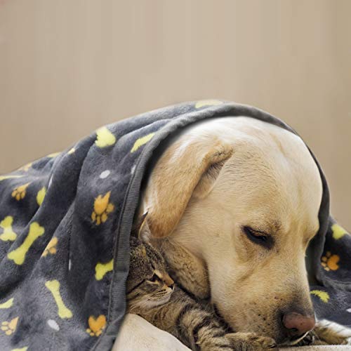 softan Manta para Mascotas, Manta para Perros esponjosa para Perros pequeños, medianos y Grandes, Manta de Cachorro Lavable para Perros Cama, 120 x 150cm, Gris