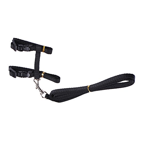 Sotoboo - Arnés de control de mascotas en forma de H, color puro, arnés con correa de plomo para gatos pequeños, perros y cachorros, suave y fácil de caminar (negro)