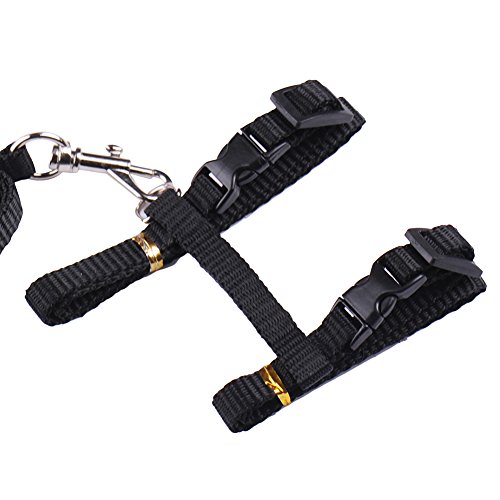 Sotoboo - Arnés de control de mascotas en forma de H, color puro, arnés con correa de plomo para gatos pequeños, perros y cachorros, suave y fácil de caminar (negro)