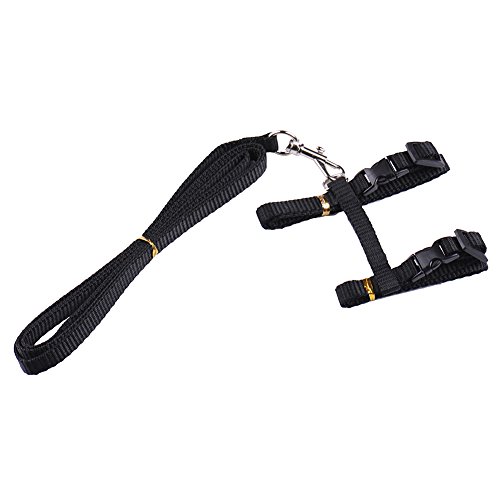 Sotoboo - Arnés de control de mascotas en forma de H, color puro, arnés con correa de plomo para gatos pequeños, perros y cachorros, suave y fácil de caminar (negro)